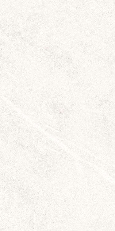 Dhara White Matte 12 x 24